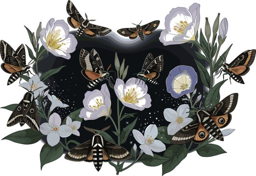 Elegant night garden vector illustration with nocturnal moths and white evening primrose flowers in a mystical moonlit scene.