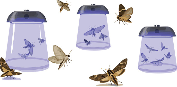 Vector illustration of moth pheromone traps and light lures for pest control management in agriculture and garden settings.