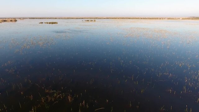 Aerial view of Nile River Delta wetlands showing reeds aquatic plants lakes at sunrise morning. Peaceful wetland landscape highlights marsh vegetation and plain beside egypt near egypt.
