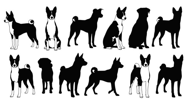 Basenji Dog Silhouettes Collection - Various Poses and Angles