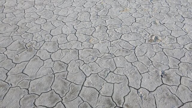 Fissures across cracked dry soil surface show severe drought and erosion patterns clearly. Close view emphasizes aridity hardened crust polygon cracks climate stress on ground.