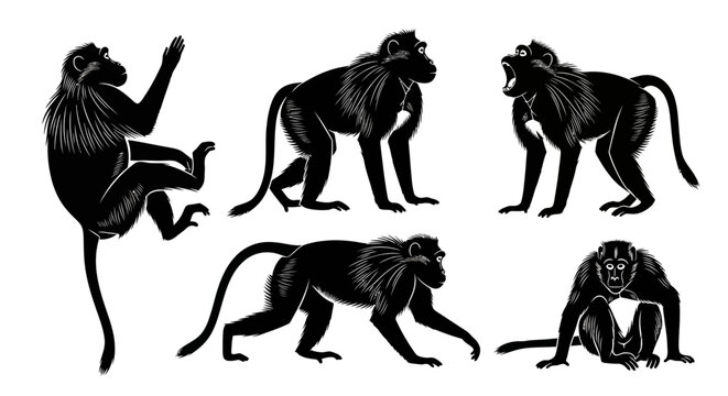 Set of Hand Drawn Monkey Silhouettes in Various Poses