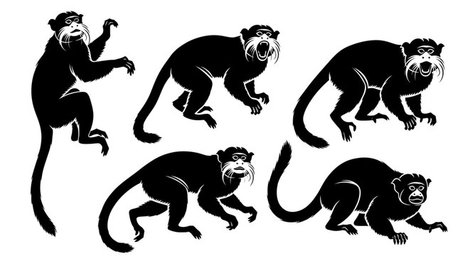 Silhouette of Five Capuchin Monkeys in Various Poses, Black and White Illustration