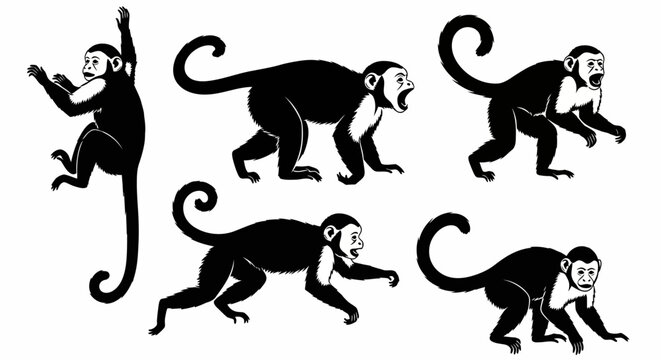 Set of Capuchin Monkey Silhouettes in Various Poses