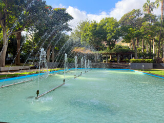 Fototapeta premium Sunlit tropical garden path lined with towering palm trees and lush foliage, Santa Cruz de Tenerife
