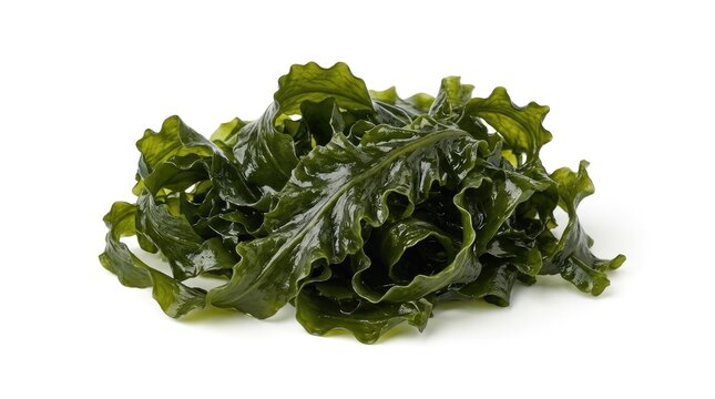 A cluster of fresh, dark green seaweed rests on a white surface. The seaweed has a textured, wavy appearance with prominent fronds.