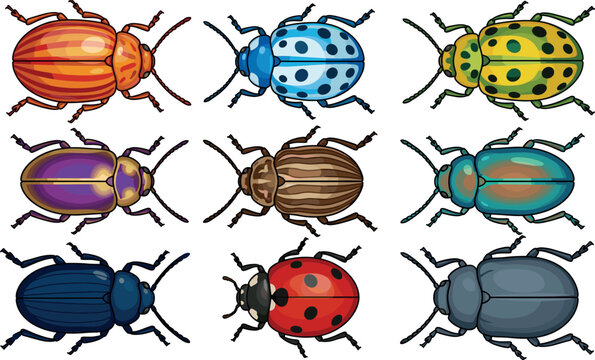 Colorful Beetle Vector Set with Ladybug and Various Bug Species in Different Patterns for Nature Wildlife Garden Entomology and Educational Illustration