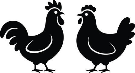Obraz premium Black and white rooster and hen standing side by side