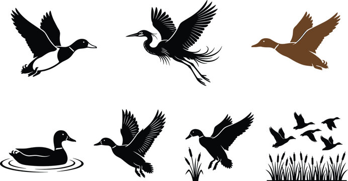 Waterfowl and Duck Silhouette Set Featuring Flying Mallards, Herons, and Birds in Reeds for Hunting Gear Branding, Wildlife Conservation Graphics, and Nature Illustration Projects