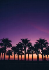Obraz premium Silhouetted palm trees stand against a vibrant gradient sky during a tropical sunset.