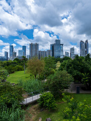 Fototapeta premium Shenzhen skyline above a lush urban park under dramatic clouds