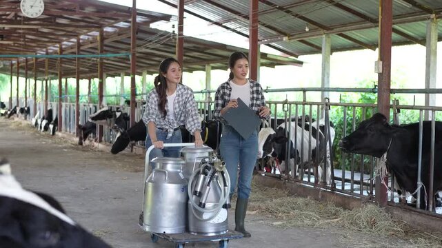 Two Farmer woman pushing and checking Milking tank walking together come to the storage tank to prepare for delivery to the processing process. Milking management Procedure. Agriculture industry