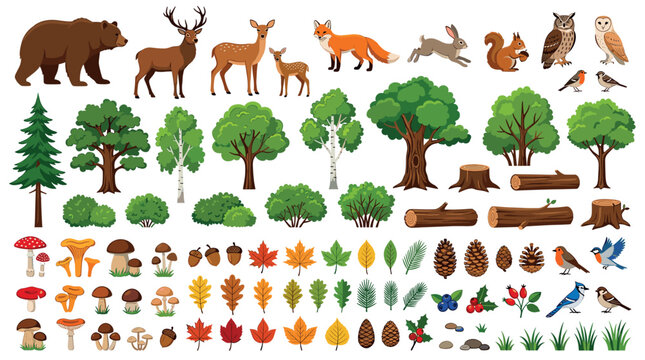 Forest animals bear deer fox rabbit squirrel owl birds, trees bushes logs mushrooms leaves berries, nature elements vector illustration set