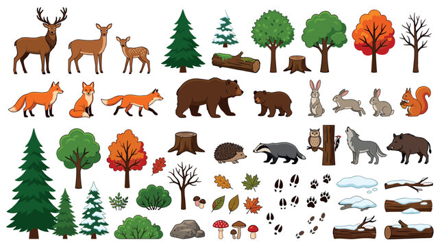 Deer fox bear rabbit squirrel owl wolf boar forest animals and trees, leaves, mushrooms, snow, footprints, logs, stumps, and bushes vector illustration set