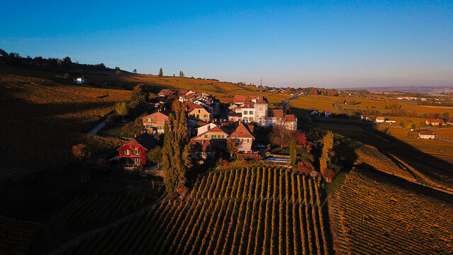 Aerial view of Fechy-Dessus village with its historic church and traditional houses surrounded by golden autumn vineyards in Fechy, Vaud, Switzerland.
