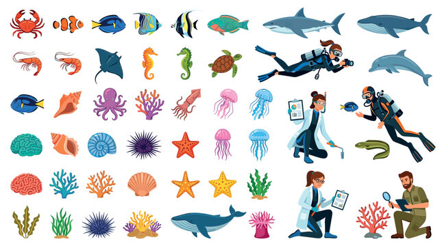Crab clownfish shark whale dolphin turtle octopus jellyfish diver scientist marine life icon set vector illustration
