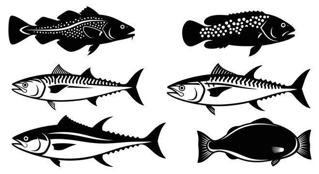 Vector Illustrations of Various Fish Species - Seafood, Ocean Life, Marine Animals