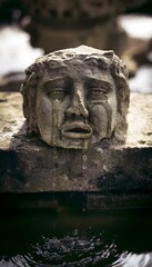 Obraz premium Ancient Stone Face Fragment Tranquil Pool Serene Museum Garden Historical Artistic Heritage Detail