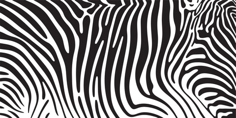 Abstract black and white zebra stripe pattern, organic wavy lines, background texture, dynamic flow. © Sen