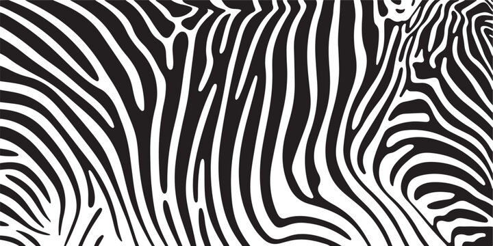 Abstract black and white zebra stripe pattern, organic wavy lines, background texture, dynamic flow.