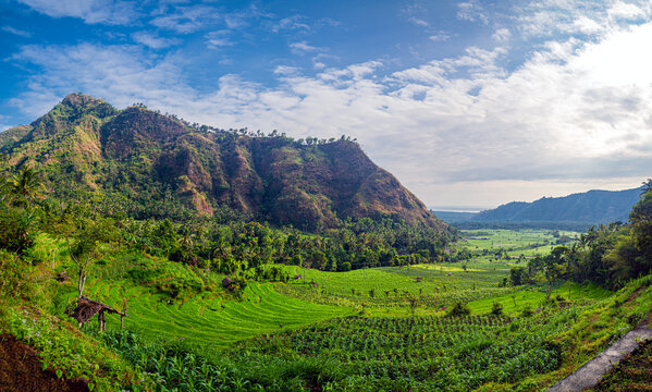 Bali Countryside in the early morning