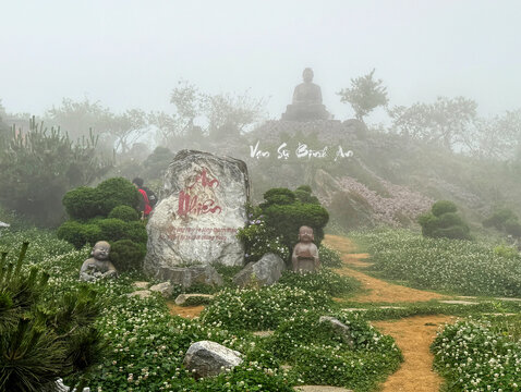 A Buddhist oriental Chinese garden with bonsai and evergreen shrubs, with Buddha statue at background. In the middle of mist and thick fog.