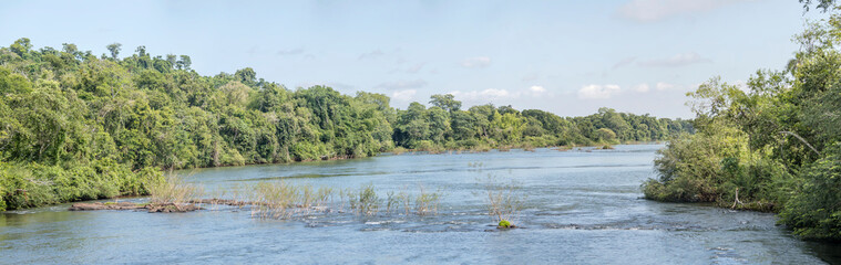 branch of superior Igauzu river with lush subtropical rain forest vegetation on shores at nature park, Iguazu Waterfalls, Argentina © hal_pand_108