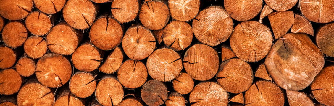 Original background of round firewood laid out vertically