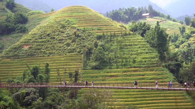 Asia Vietnam , Sapa 03,11,2026 Hmong, Tay, and Yao. Hmong Ethnicity. Hmong Tribe, ethnic minorities of Sapa they guide tourists on treks and walks through terraced rice plantations and amazing nature 