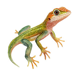 Naklejka premium Anole, semi-realistic fantasy design, magical atmosphere, watercolor painterly illustration, white background
