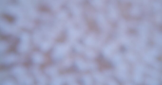 Sweet food background.Small marshmallows close up.