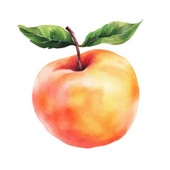 Peach, semi-realistic fantasy style, subtle magical elements, soft glow, watercolor illustration, isolated on white background © DavidJ