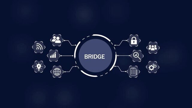 Central dark circle with the word BRIDGE in white text surrounded by a network of white hexagonal representing connectivityon Black Background and features 4k Animation video