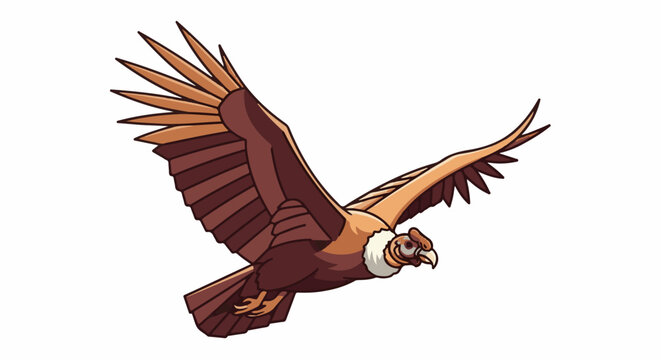 A majestic condor soars with wings outstretched against a white background