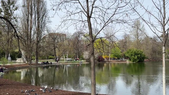 Stadtpark Vienna Urban Park Nature Landscape