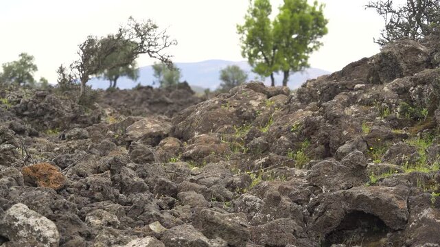 Basalt lava plain with porous volcanic rocks and sparse vegetation forms a harsh landscape. Dark igneous stone, cracked ground, weathered magma textures reveal raw geologic terrain.