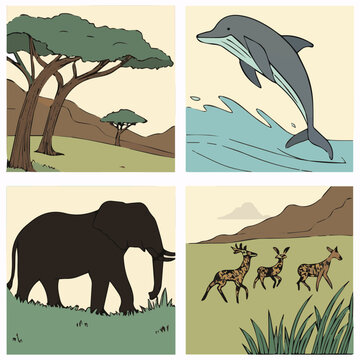 Vector illustration grid showcasing diverse animal encounters in nature, from African savanna to ocean environments