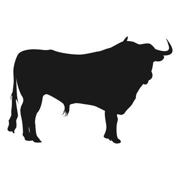 Buffallo silhouette