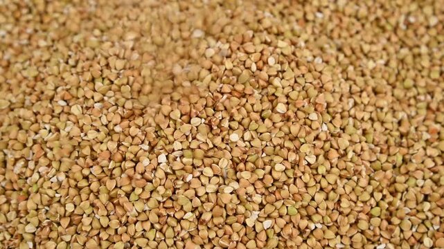 Green buckwheat groats pouring and swirling into heap on tabletop
