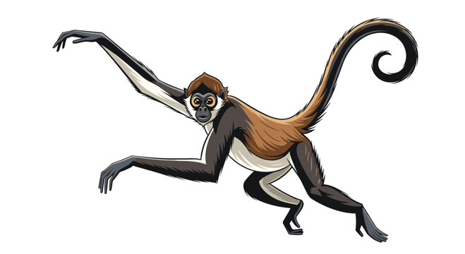 Dynamic illustration of a spider monkey, showcasing its long, slender limbs, prehensile tail, and expressive face, swinging through trees.