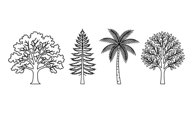 Minimalist botanical trees vector illustration set clean black and white outline of oak pine palm and deciduous tree shapes