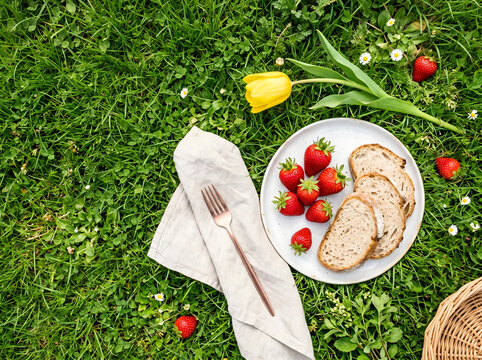 A delightful picnic scene with fresh strawberries, bread slices, and a vibrant yellow tulip on a bed of lush green grass. A complete and appetizing spread for a sunny day