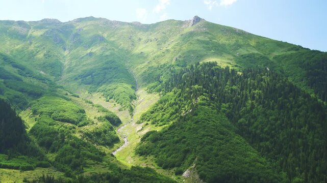 Forested mountains in northern Spain stretch across green valleys and calm highland ridges. Pyrenean Cantabrian woodland, rolling relief, lush country create peaceful scenery.