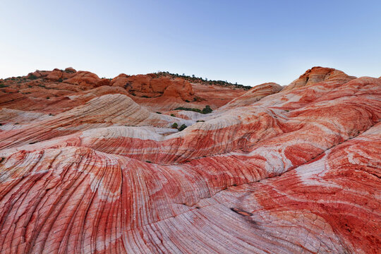 Majestic Candy Cliffs landscape at dusk, Yant Flat, Utah