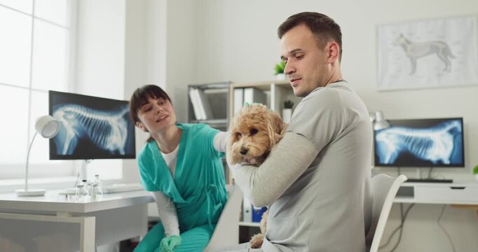 Vet nurse with dog during clinic exam. The vet holds a puppy as the nurse reviews xray monitors, offering calm care and routine checkup. Professional pet healthcare for a calm patient.