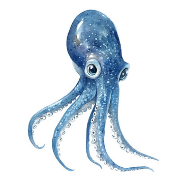 Squid, watercolor illustration featuring soft shadows and luminous, isolated on a white background.