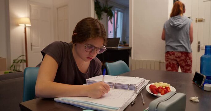 Focused Studies: A young student immersed in her schoolwork, diligently writing on a notebook, while another person is walking on the back, capturing moments of dedication.