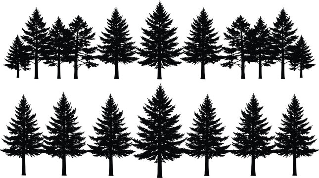 Row of detailed black pine trees in silhouette set against a grey background.
