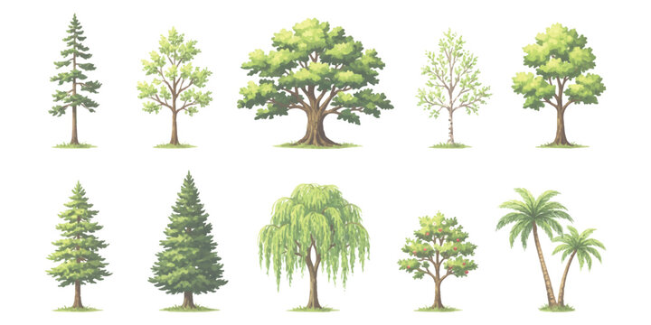 Collection of various green forest trees and palm tree icons in a simple flat style