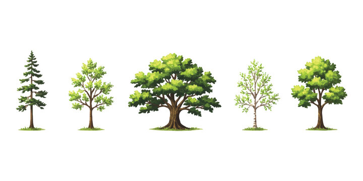 Set of five different green trees including pine oak and birch for nature and forest design projects